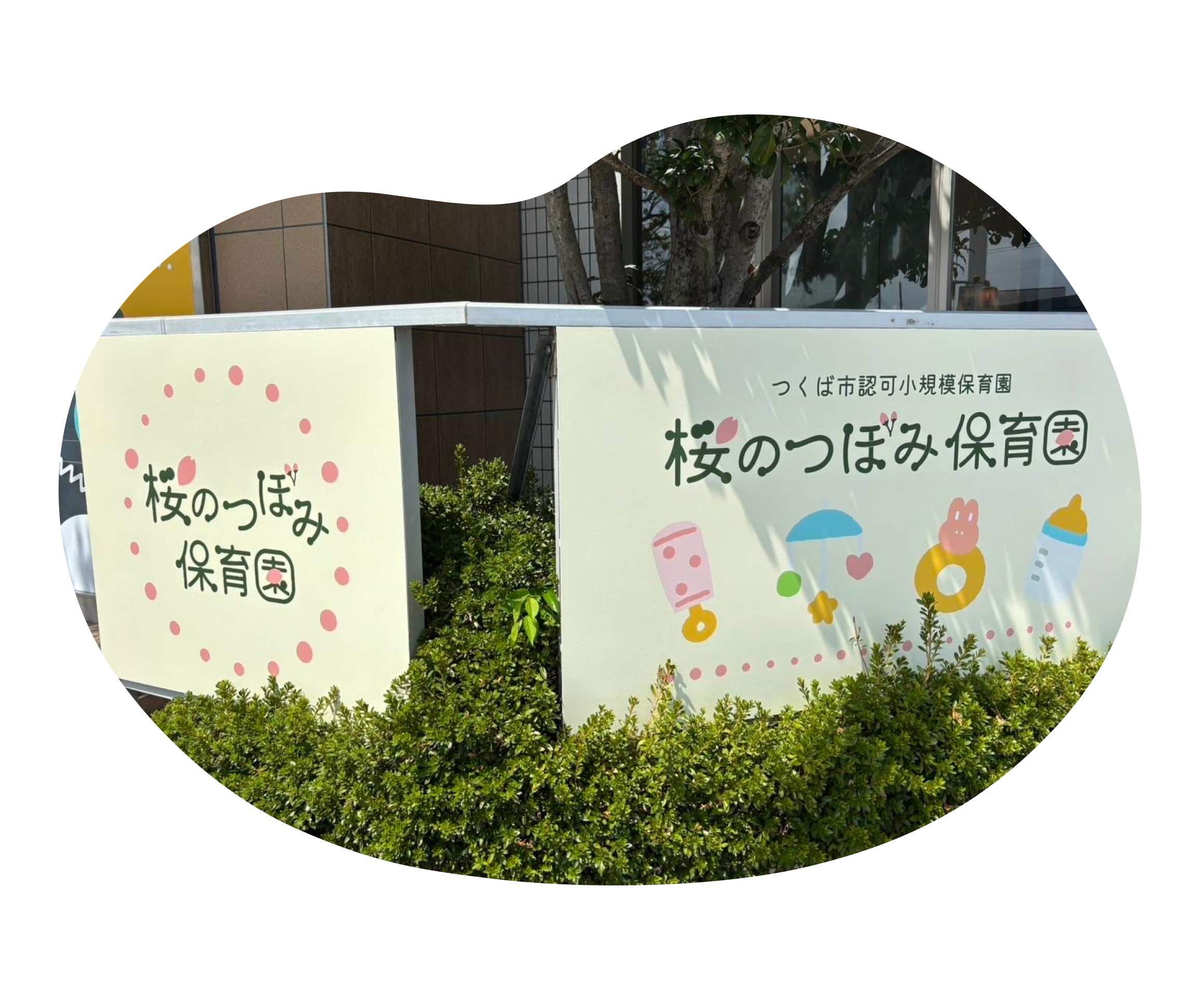 両手を前に出して見つめる赤ちゃんの写真